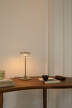 Stolní lampa Blossi Small, nordic gold