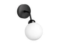 Nástěnná lampa Apiales, satin black/opal